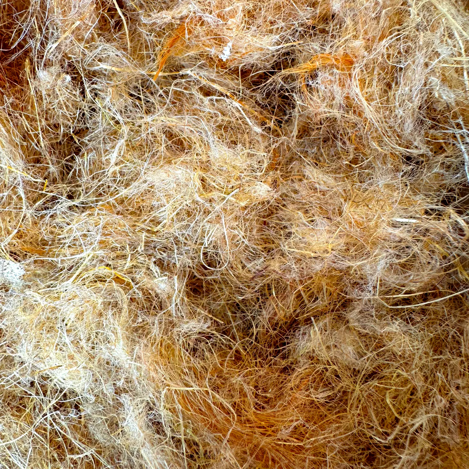 Duotherm Dämmtechnik Hanf.webp